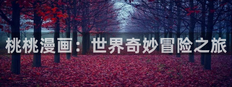 漫漫漫画官网免费