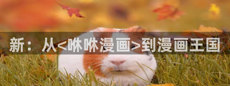 好漫漫漫画页面免费漫画在线看漫