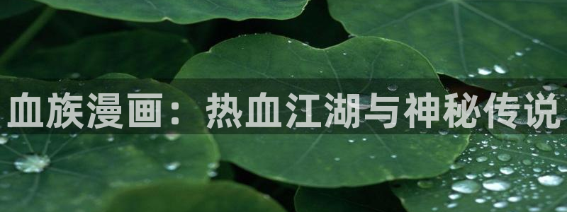 漫漫漫画在线阅读免费阅读
