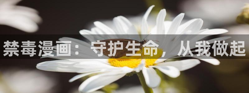 漫漫漫漫画免费阅读入口